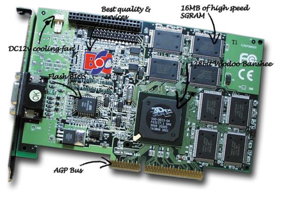 BSC-VB16 AGP 3D Display Card
